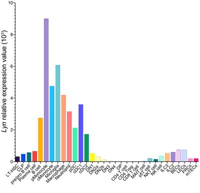 The dualistic role of Lyn tyrosine kinase in immune cell signaling: implications for systemic lupus erythematosus